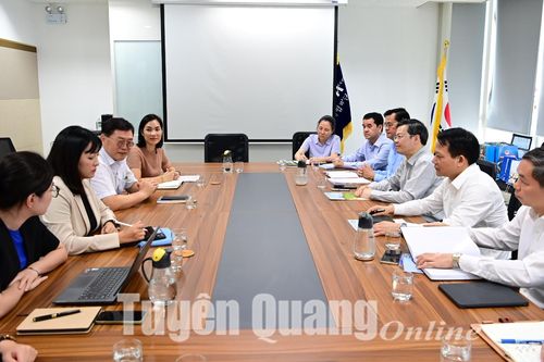 Đoàn công tác của tỉnh làm việc với Văn phòng quốc gia KOICA Việt Nam