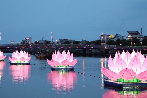 Bình Thuận: 7 đóa sen hồng lần đầu tiên xuất hiện trên sông Cà Ty