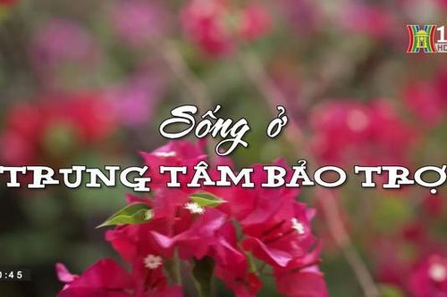 Sống ở Trung tâm bảo trợ | Nhịp sống Hà Nội | 25/05/2023