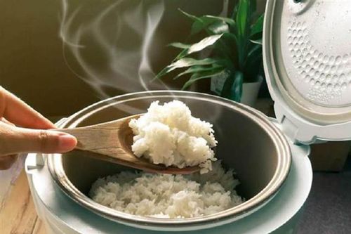 Bí quyết giúp tiết kiệm điện khi sử dụng nồi cơm điện