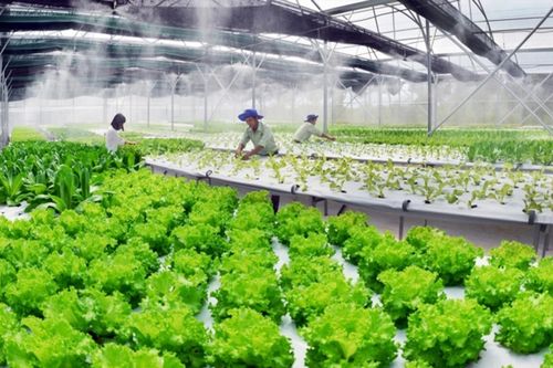 Tây Ninh tổ chức diễn đàn quốc tế thu hút đầu tư vào nông nghiệp công nghệ cao
