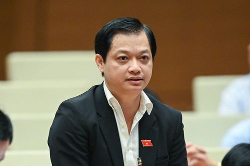 ĐBQH: Có tình trạng doanh nghiệp phải mua bảo hiểm, ngân hàng mới cho vay vốn