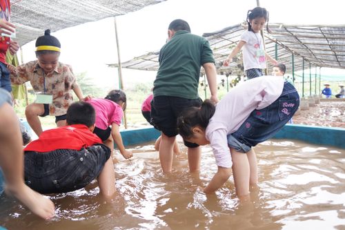 Hà Nội: Không cấm nhưng hạn chế tối đa hoạt động trải nghiệm mang tính tự phát trong ngành giáo dục