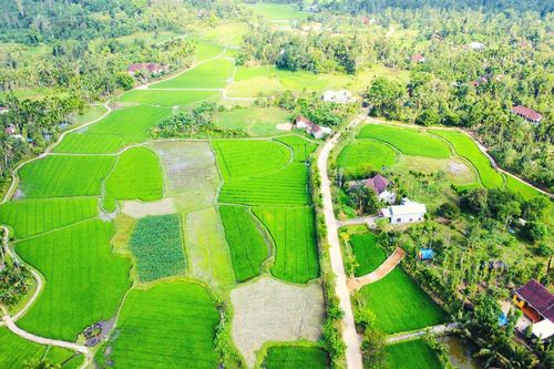 Quảng Nam: Sau hai năm phát triển du lịch xanh