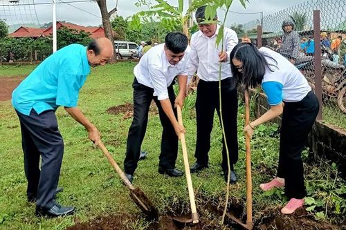 Trồng 1.000 cây xanh tại làng du lịch cộng đồng
