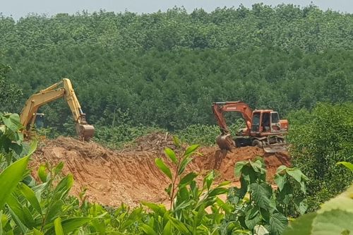 Huyện chỉ đạo xử lý vụ khai thác đất trái phép Báo GD&TĐ phản ánh