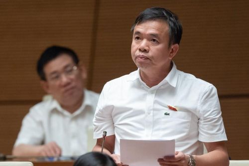 Cử tri cần bộ, ngành hướng dẫn cụ thể các vụ việc thay cho viện dẫn văn bản luật
