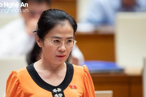 Đại biểu Võ Thị Minh Sinh thiết tha đề nghị Chính phủ giải quyết dứt điểm các tồn tại về bồi thường, hỗ trợ tái định cư Dự án Thủy điện Bản Vẽ