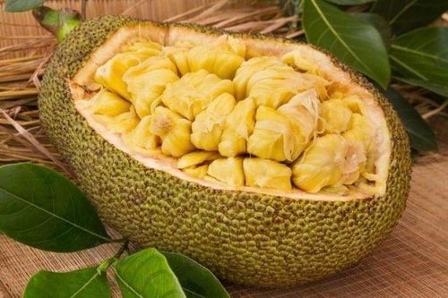 Bỏ túi cách chọn mít chín ngon, làm mít nhanh chín