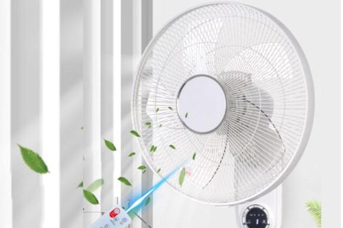 Phòng nhỏ nên dùng quạt gì vừa mát vừa tiết kiệm điện?