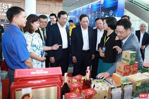TechFest Quang Nam 2023 dự kiến tổ chức vào tháng 8/2023