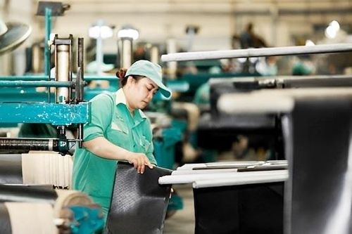 Cần nhanh chóng giảm thuế và hạ lãi suất cho vay để hỗ trợ doanh nghiệp