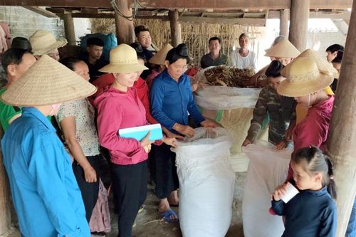 Những 'bông hồng đỏ' vùng dân tộc thiểu số (bài 3)
