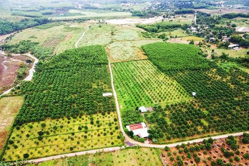 Ký kết hợp tác nông nghiệp giữa Khánh Hòa và Đắk Lắk