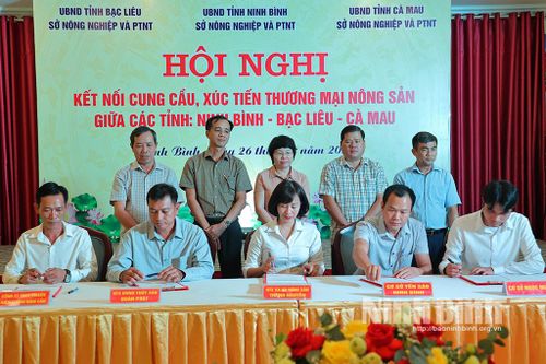 Xúc tiến thương mại, tiêu thụ nông sản giữa Ninh Bình - Cà Mau - Bạc Liêu