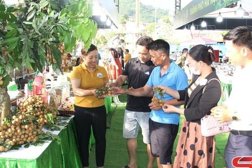 Ngày hội Du lịch Văn hóa tỉnh Sơn La 'Điểm đến thiên nhiên khu vực hàng đầu thế giới': Giới thiệu sản phẩm du lịch, nông sản, đặc sản của Sơn La và các tỉnh vùng Tây Bắc