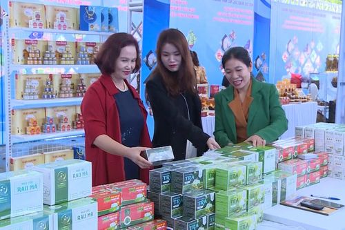 Cơ hội để các doanh nghiệp khu vực Bắc Trung Bộ kết nối giao thương