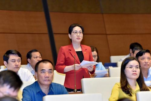 ĐBQH Phan Thị Nguyệt Thu (Hà Tĩnh): Cân nhắc việc công khai thông tin tổ chức, cá nhân kinh doanh bị kiện