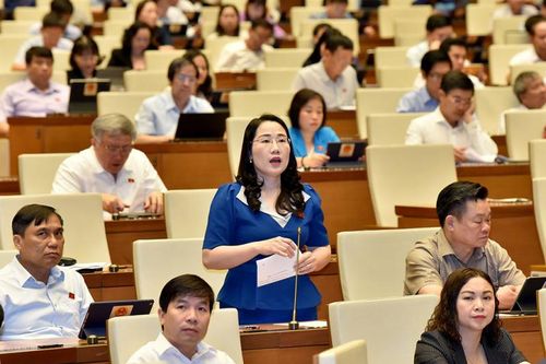 Dự thảo Luật Bảo vệ quyền lợi người tiêu dùng (sửa đổi): Tránh mâu thuẫn với các đạo luật liên quan