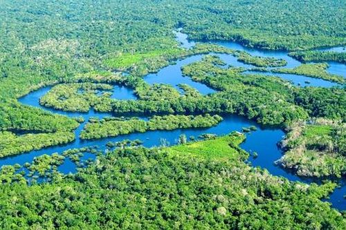 Brazil phun khí CO2 vào rừng Amazon để mô phỏng biến đổi khí hậu