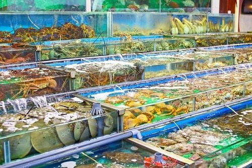Ốc, tôm, cua, ghẹ đồng loạt đội giá