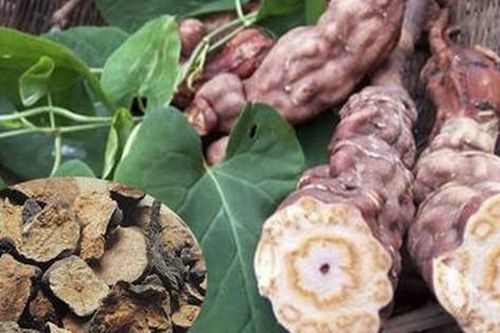 7 món cháo dành cho người tăng huyết áp