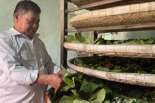 Nghề 'canh ông trời'