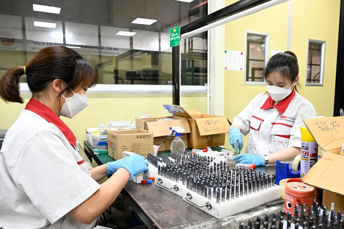Giúp doanh nghiệp trụ vững