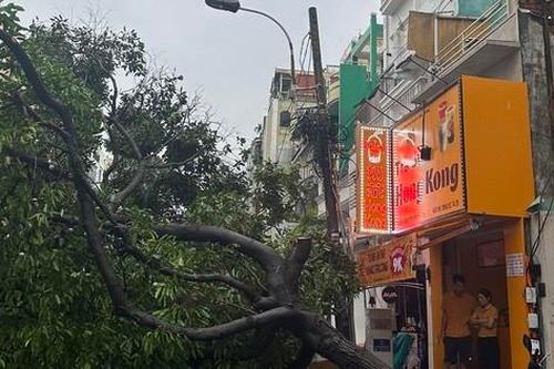 Mưa lớn kéo dài, nhiều tuyến đường TPHCM ngập, cây xanh ngã đổ