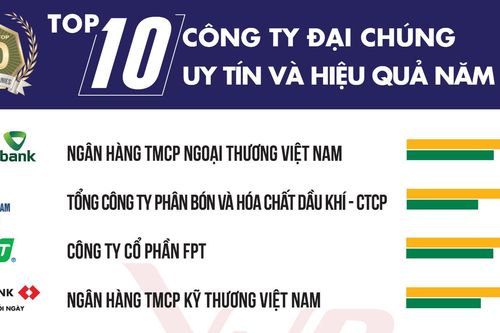 Top 50 Công ty Đại chúng uy tín và hiệu quả năm 2023