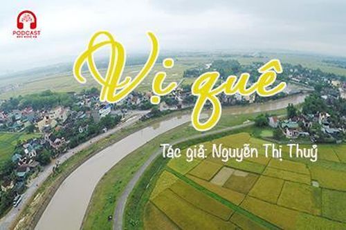 Tản văn hay: Vị quê