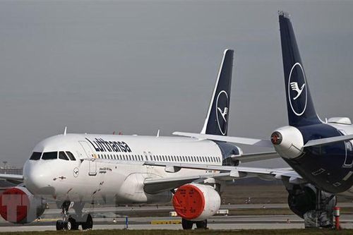 Hãng hàng không Đức Lufthansa mua 41% cổ phần của đối thủ ITA Airways