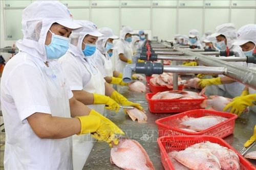 TP Hồ Chí Minh bắt mạch sản xuất công nghiệp - Bài 2: Phát huy công nghiệp trọng điểm