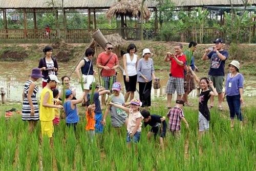 Du lịch nông nghiệp khó hút khách với cách làm cũ