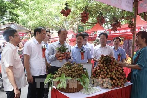 Khai mạc phiên chợ vải Hưng Yên năm 2023