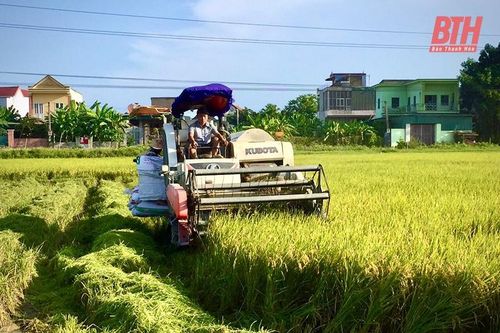 Hiệu quả mô hình trình diễn giống lúa thuần chất lượng cao J02 ở Lộc Sơn