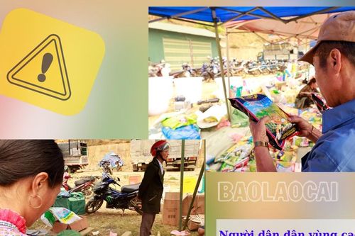 Nguy cơ tiềm ẩn từ các giống lúa không rõ nguồn gốc