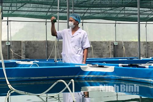 Đông Sơn phát triển sản phẩm OCOP góp phần xây dựng nông thôn mới