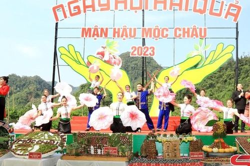 Ấn tượng Ngày hội hái quả Mộc Châu