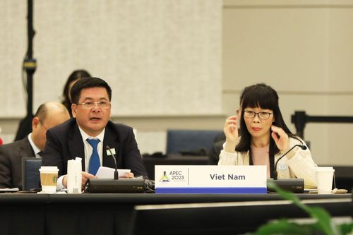 Bộ trưởng Nguyễn Hồng Diên tham dự Hội nghị Bộ trưởng Thương mại APEC lần thứ 29