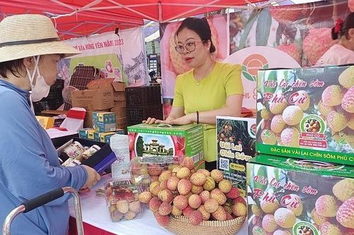 Chợ vải Hưng Yên năm 2023: Giới thiệu sản phẩm đặc trưng của vùng đất Phố Hiến
