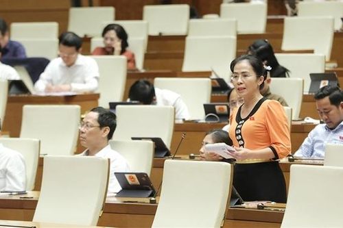 Kết quả trả lời kiến nghị cử tri phải thực chất, đúng bản chất và nâng cao chất lượng phản hồi