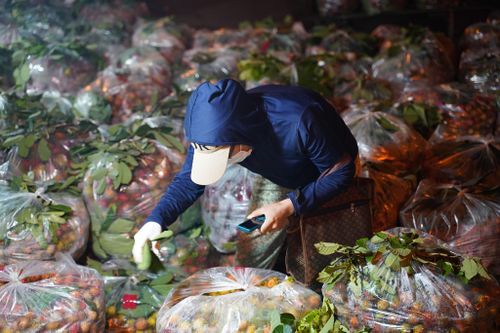 Ý tưởng về trung tâm giao dịch sản phẩm nông sản bán sỉ tại TP HCM