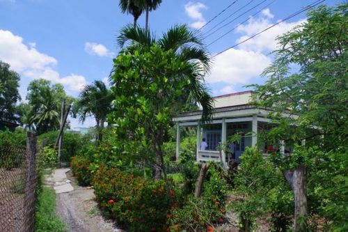 Tranh chấp xây nhà, em chém chị ruột trọng thương