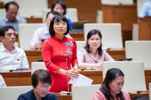 Cử tri đặc biệt quan tâm đến việc tháo gỡ vướng mắc trong quá trình triển khai Nghị định 116/2020/NĐ-CP