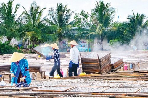 Hấp dẫn những sản vật mặn - ngọt
