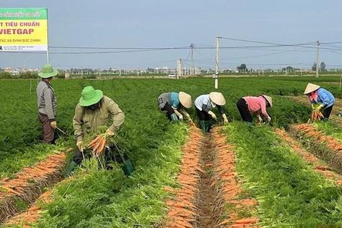 Khi lòng dân đồng thuận