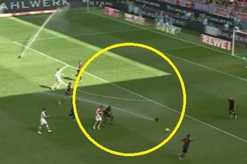 Sự cố hài hước trong ngày Bayern vô địch