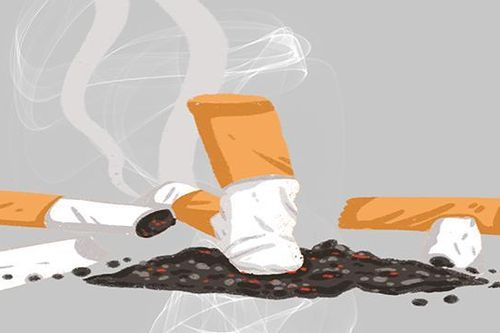 Ngày Thế giới không thuốc lá 31/5: 'Chúng ta cần thực phẩm, không cần thuốc lá'