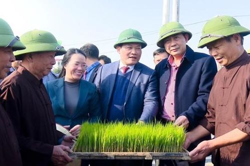 Thường Tín tập trung xây dựng huyện nông thôn mới nâng cao